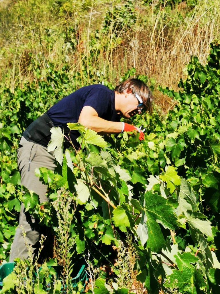 620217e7-09cb-48ec-be44-dc5ca52e83ad (1)