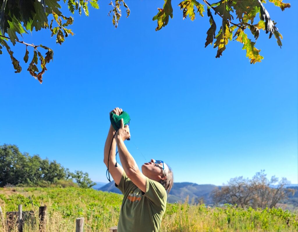 c96cc02d-efd9-49c6-b2c8-58ba358373d1